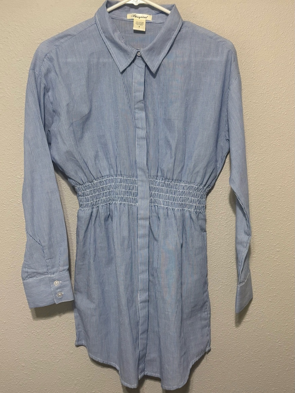 Passport Light Blue Pinstripe Shirtdress with Smocked Waist